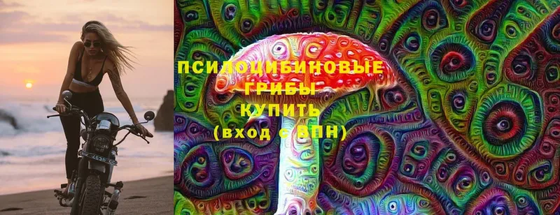 Псилоцибиновые грибы ЛСД  Кудрово 